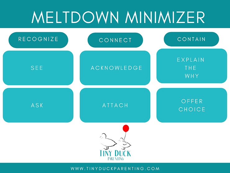 Meltdown Minimizer